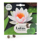Graines de Lotus à semer
