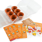 Serre Jardinage enfant - Tomates