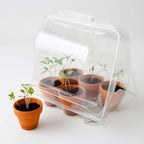 Serre Jardinage enfant - Tomates