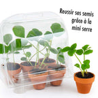 Serre de jardinage enfant - Fraisier