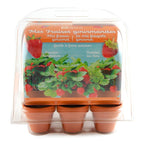 Serre de jardinage enfant pour culture de fraisiers et découverte nature