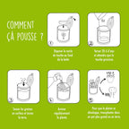 Kit à semer "Graines Sauvages"
