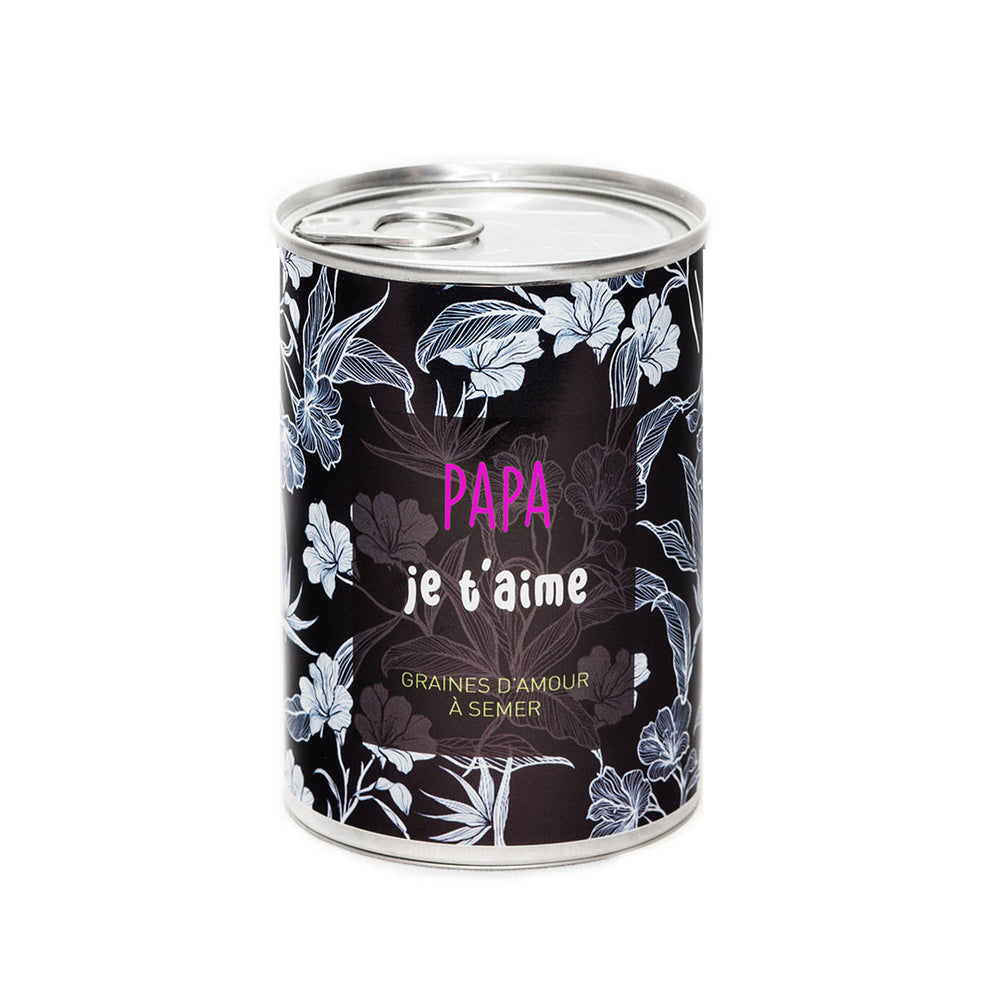 Kit à semer Papa – cadeau original fête des pères