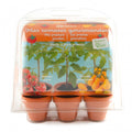 Serre jardinage enfant pour culture et découverte des tomates