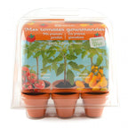 Serre jardinage enfant pour culture et découverte des tomates